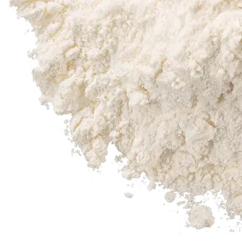 Organic nutrient carrier compound used in Mind Lab Pro's NutriGenesis base