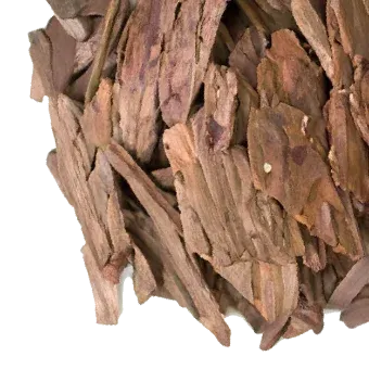 Maritime Pine Bark extract, an antioxidant ingredient supporting brain blood flow in Mind Lab Pro